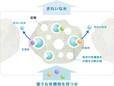 健康状態にこだわる